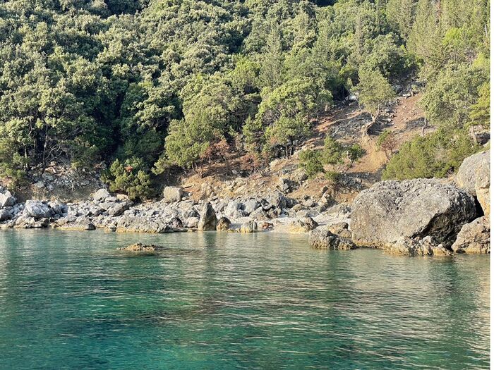 A sheltered forested cove with rocks meeting green water.