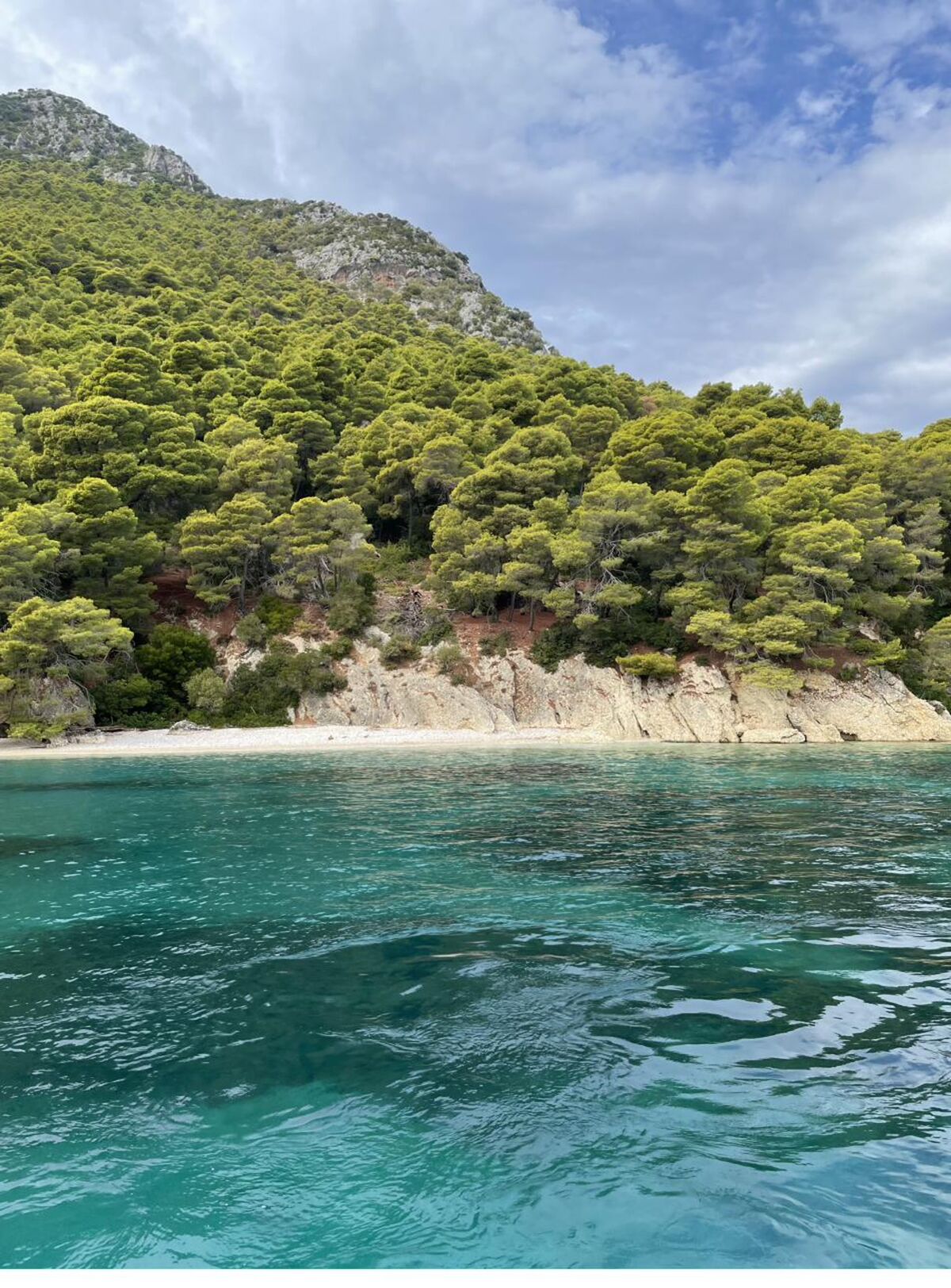 A forested hillside meeting clear turquoise sea — a quiet destination shoreline.