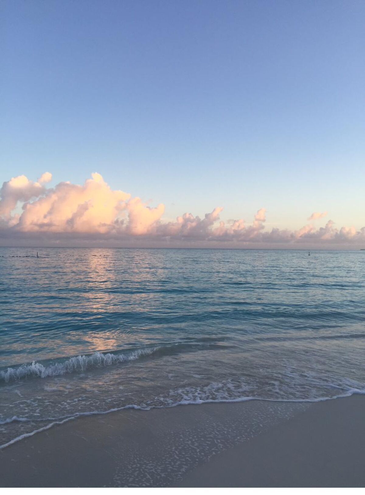 Dawn light over a calm shoreline.